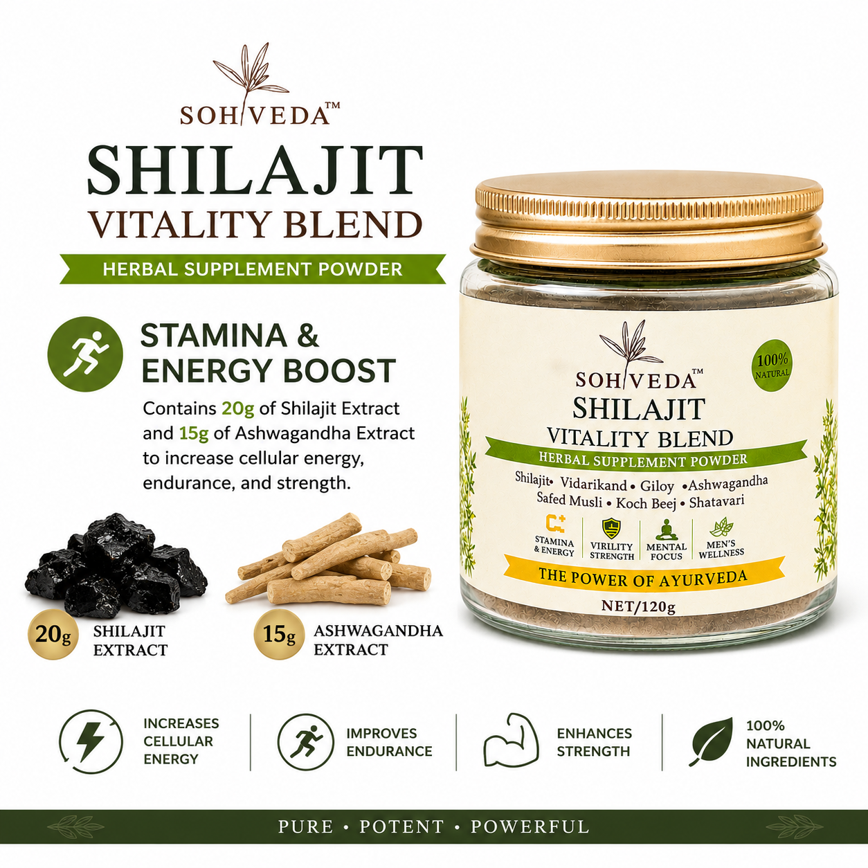 SOHVEDA Premium Shilajit Vitality Blend 120gm